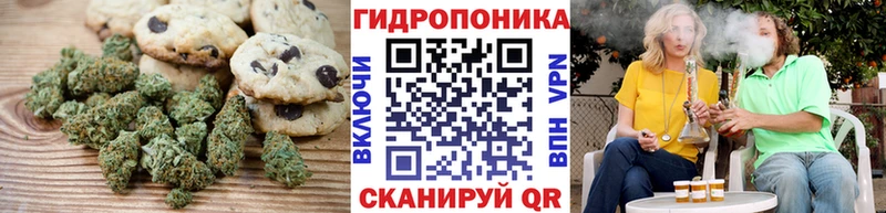 наркотики  Городовиковск  кракен вход  Печенье с ТГК марихуана 