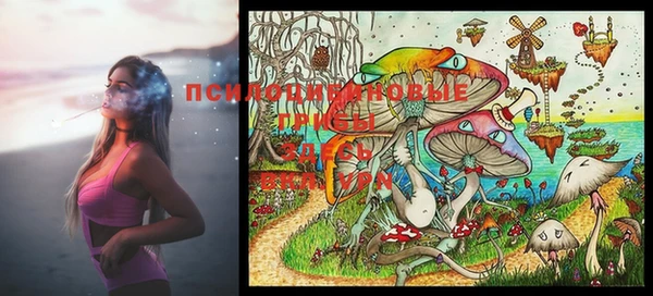 марки lsd Белокуриха