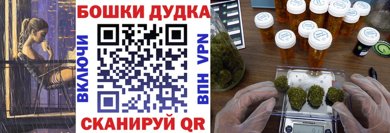 МАРИХУАНА план  как найти наркотики  Городовиковск 
